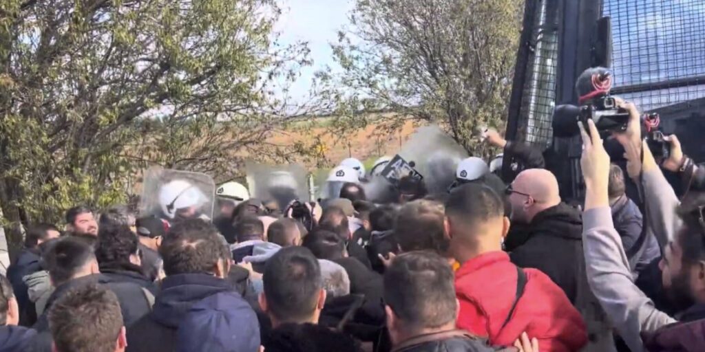 agrotes larisa 1140x570