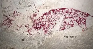 ergo texnis spilaiografgia.jpg