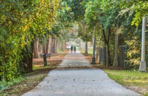 Το …εισιτήριο για τη μακροζωία: Για όλα …φταίει το γονίδιο! makrozoia1