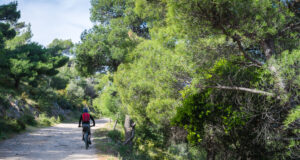 People,Riding,And,Walking,In,Mountain,Hymettus,(ymittos).,Walking,Aesthetic