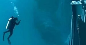 Σκουπιδότοπος το βαθύτερο σημείο της Μεσογείου – “Καμπανάκι” για τις ελληνικές θάλασσες mesogeios1