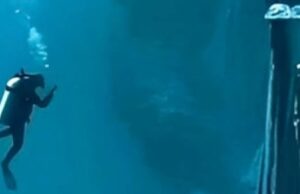 Σκουπιδότοπος το βαθύτερο σημείο της Μεσογείου – “Καμπανάκι” για τις ελληνικές θάλασσες mesogeios1