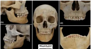 Ποια είναι η «Κόκκινη Πριγκίπισσα του Δρόμου του Μεταξιού»; skeletos red