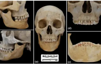 Ποια είναι η «Κόκκινη Πριγκίπισσα του Δρόμου του Μεταξιού»; skeletos red